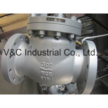 Swing Wcb Non Return Valve